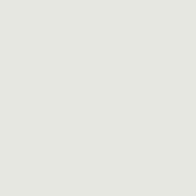 Glacier-White-9003-G-M CeramicSteel Glacier White