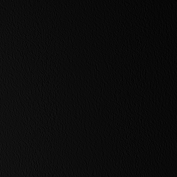 PDR70402 RAVEN BLACK