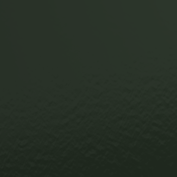 PDR70500 EVERGREEN HOLLY